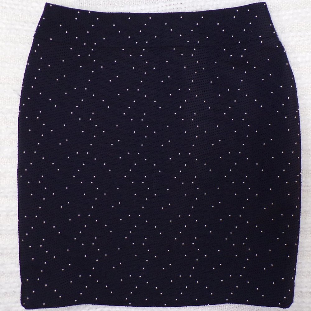 *Ann Taylor Polka Dot Career Skir